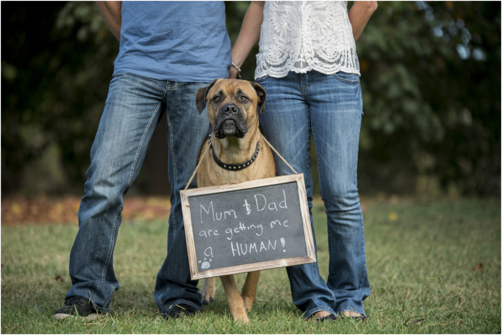 Baby Bump Photography, Camden maternity Photography, Camden Newborn Photography, Angie Duncan Photography, www.angieduncan.com.au